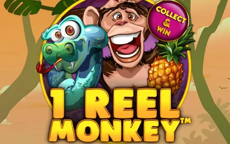 Spielen Sie 1 Reel Monkey im Verde Casino.